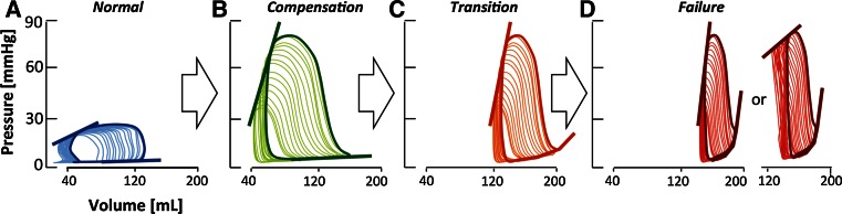 Fig. 1