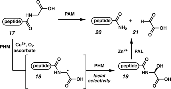 Scheme 2.