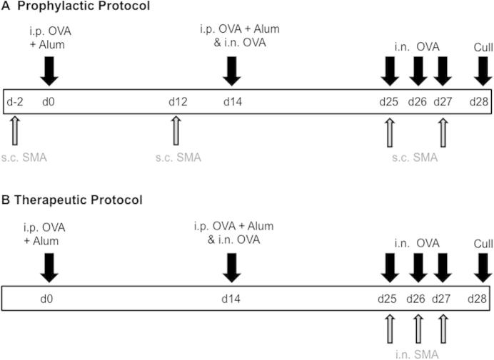 Supplementary Fig. S1