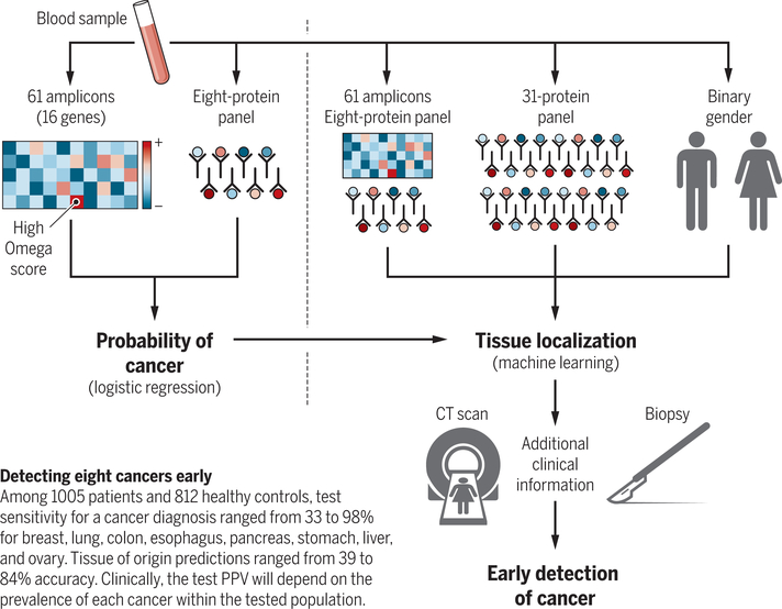 How the CancerSEEK algorithm works