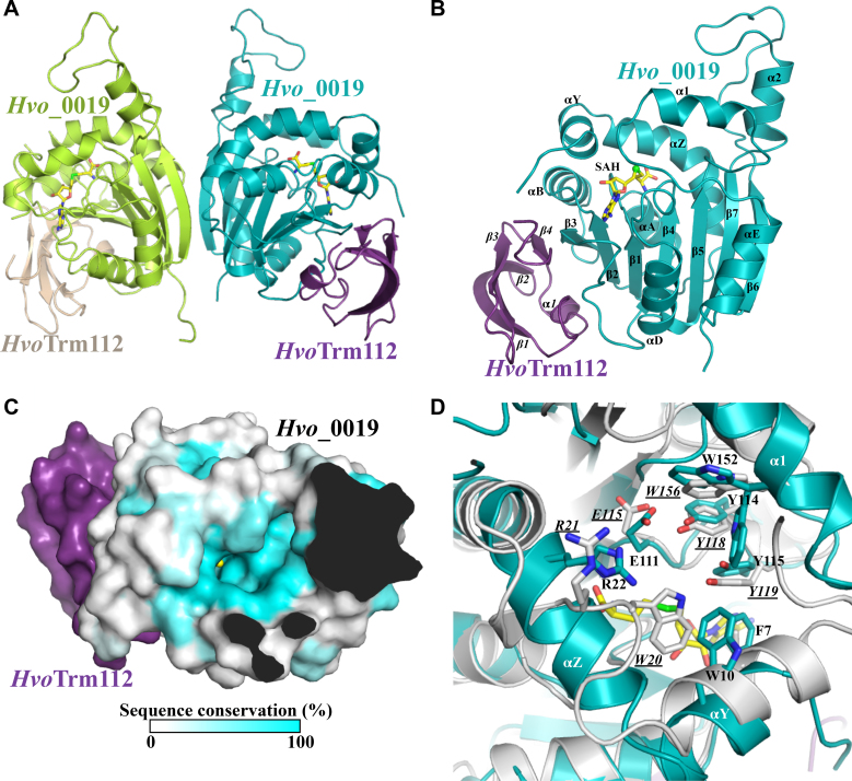 Figure 4.