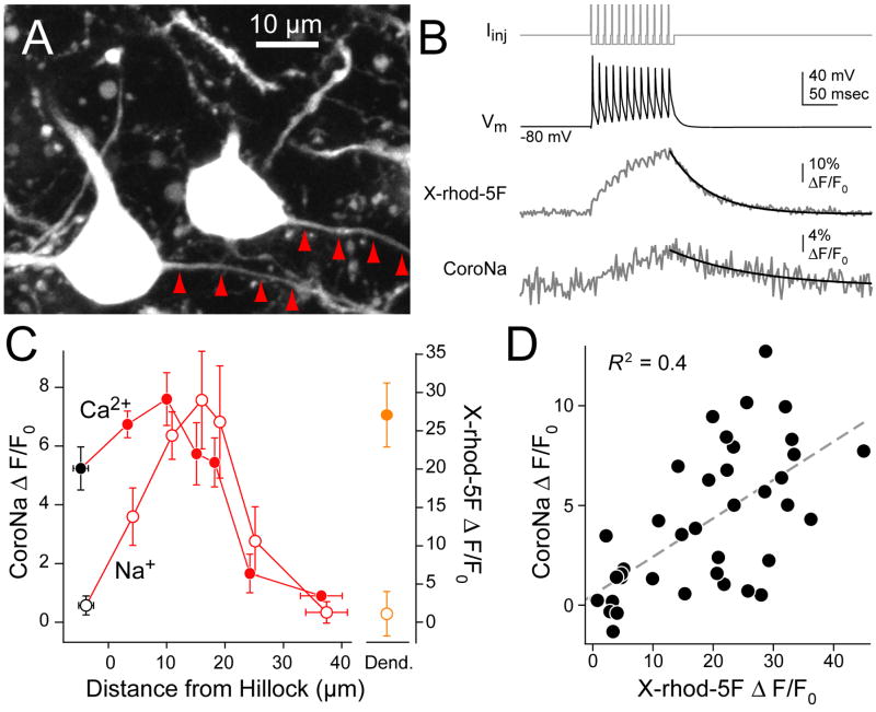 Fig. 3