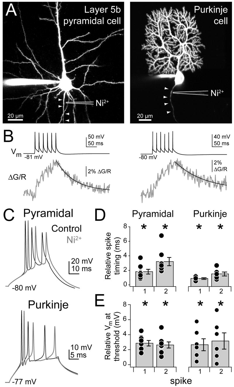 Fig. 10