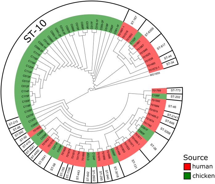 FIGURE 2