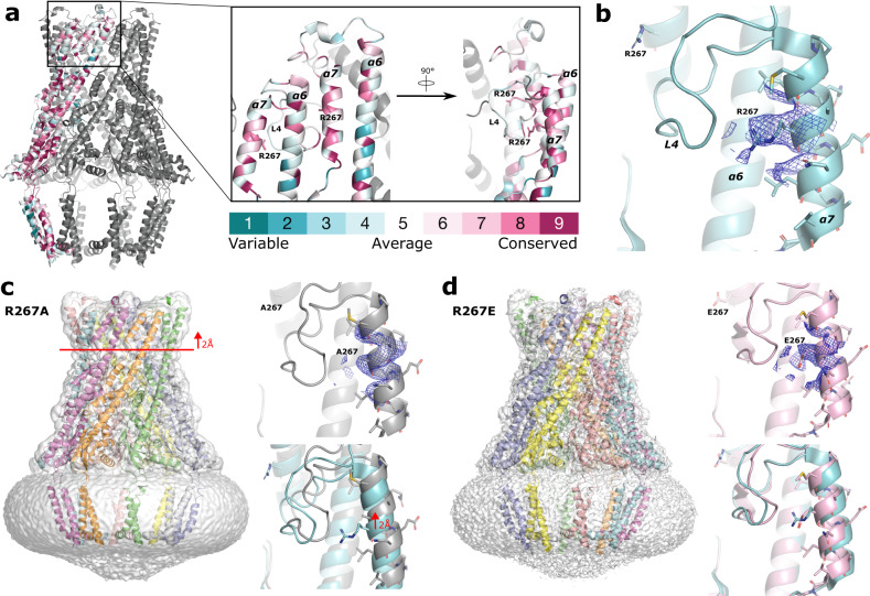 Fig. 4