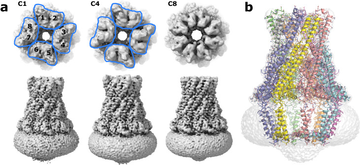 Fig. 1