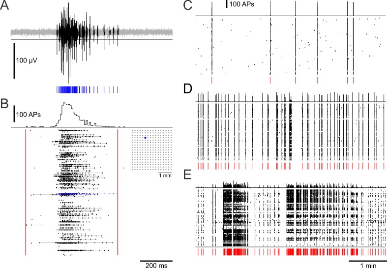 Figure 4—figure supplement 1.