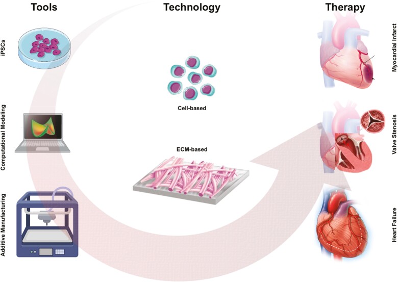 Graphical Abstract