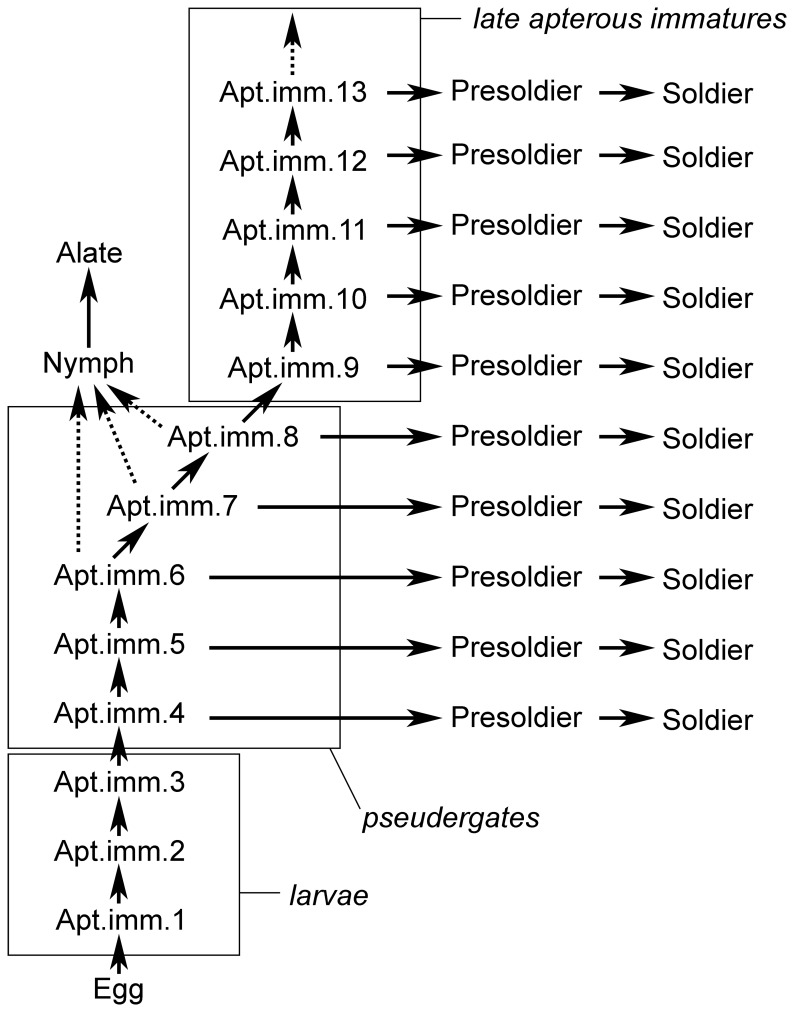 Figure 9