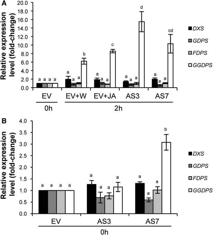 Figure 10.