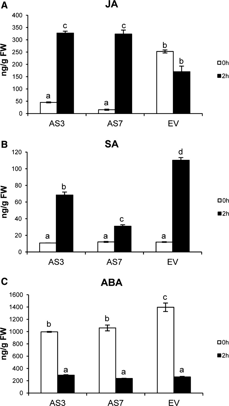 Figure 6.