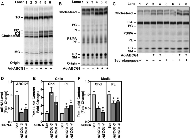 Fig. 4.