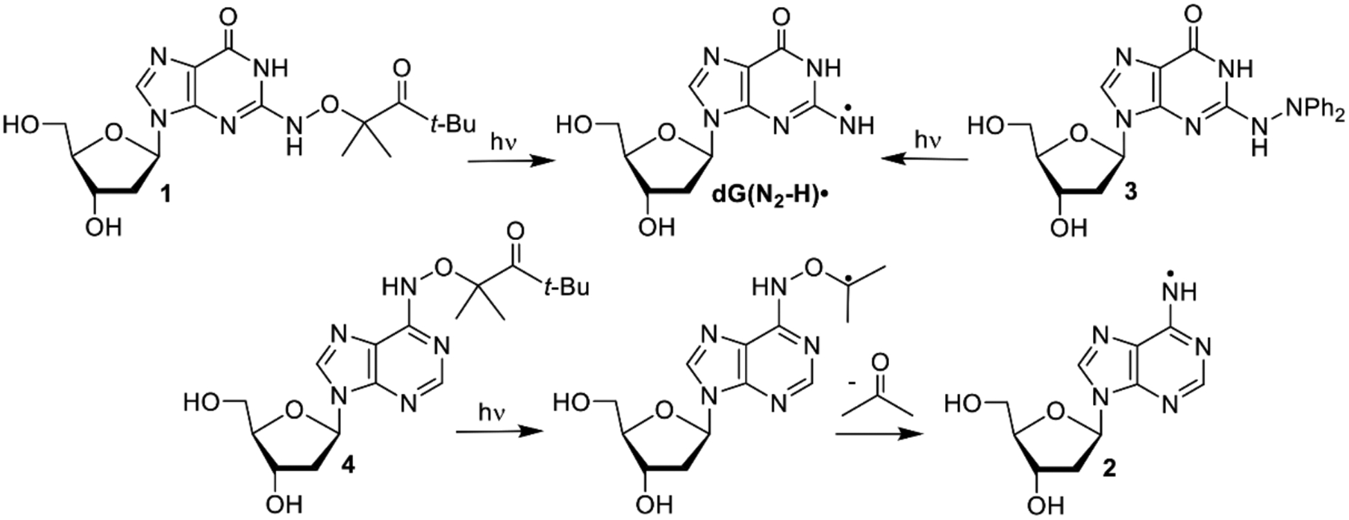 Scheme 2.