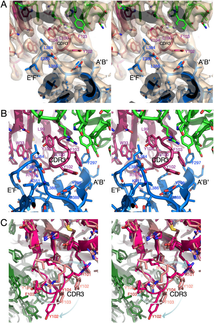 FIG 3