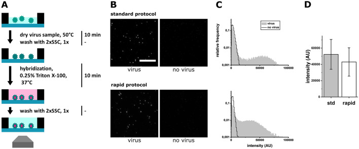 ﻿Figure 2