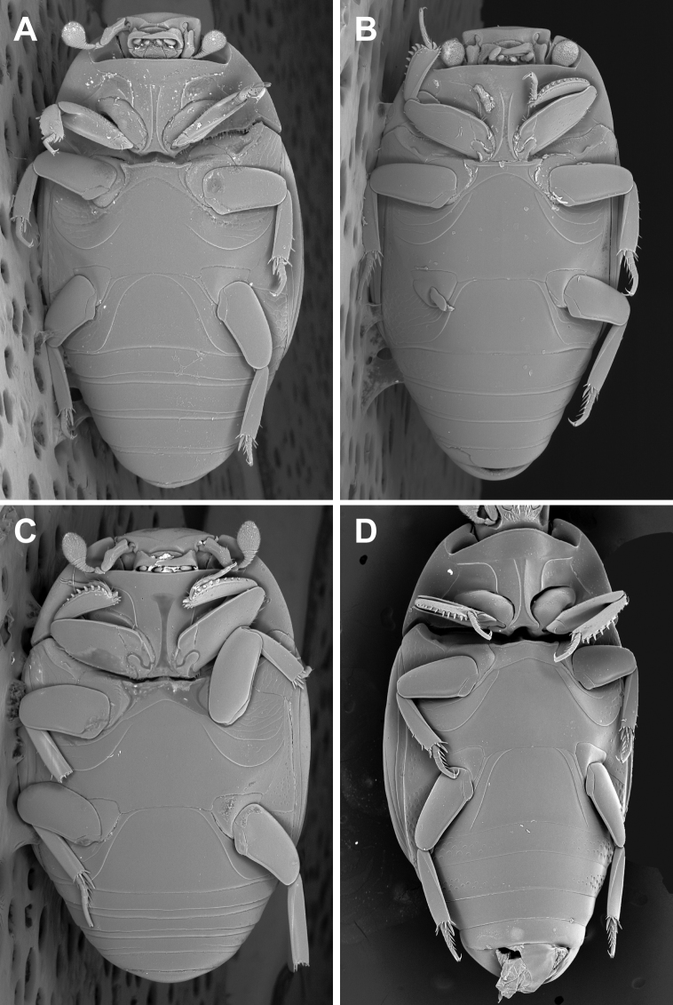 Figure 4.