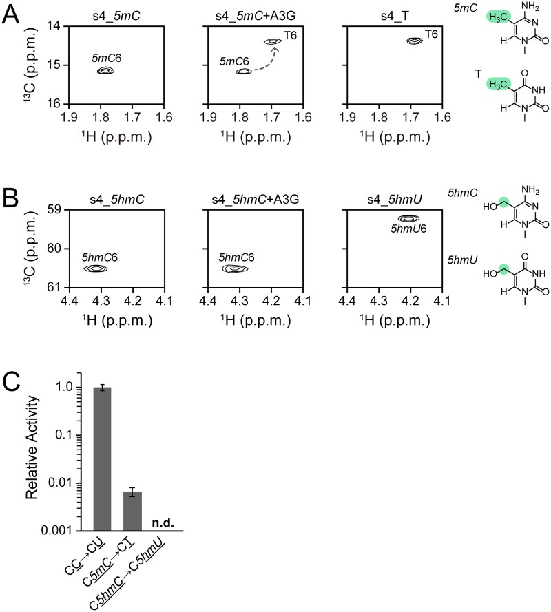 Fig 5