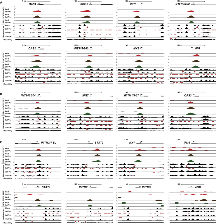 Figure 2