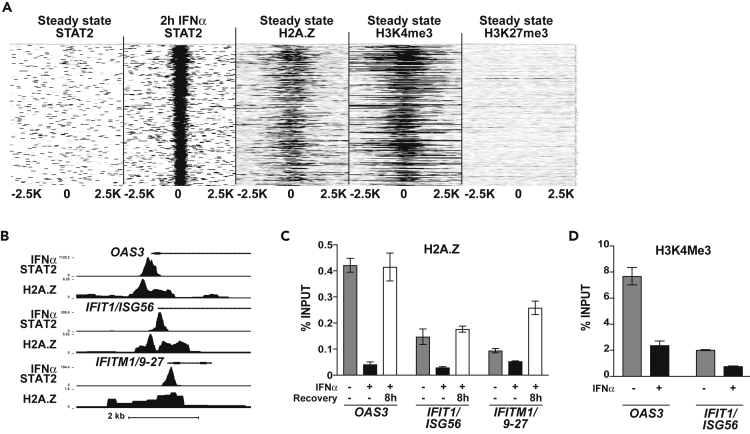 Figure 4