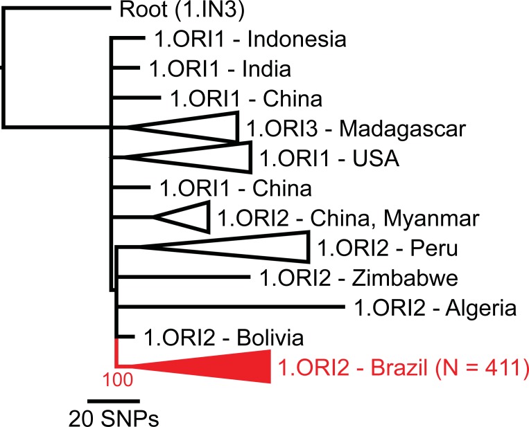 Fig 1