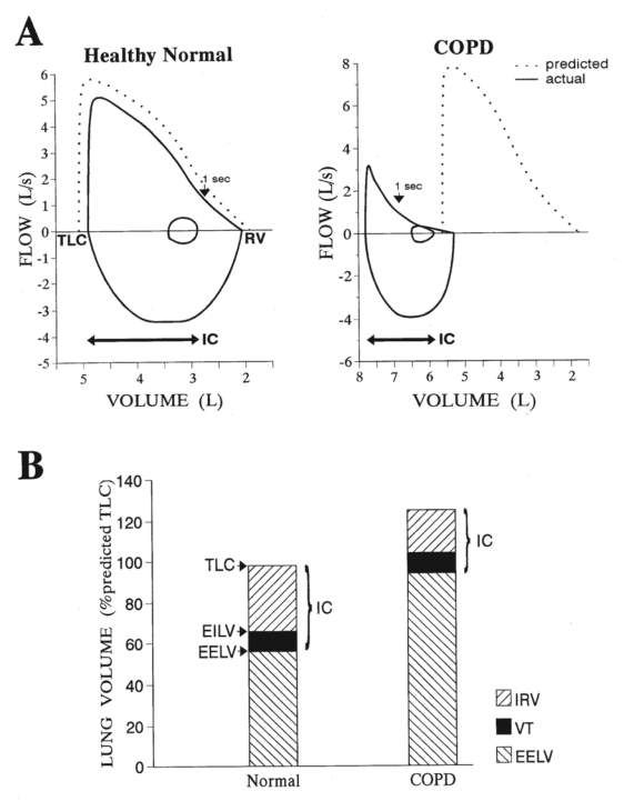 Figure 3)