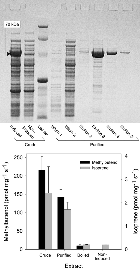 FIGURE 1.