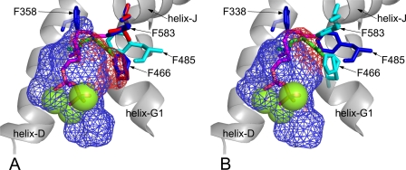 FIGURE 7.