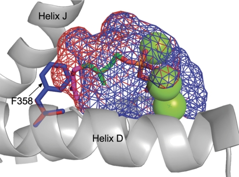 FIGURE 6.