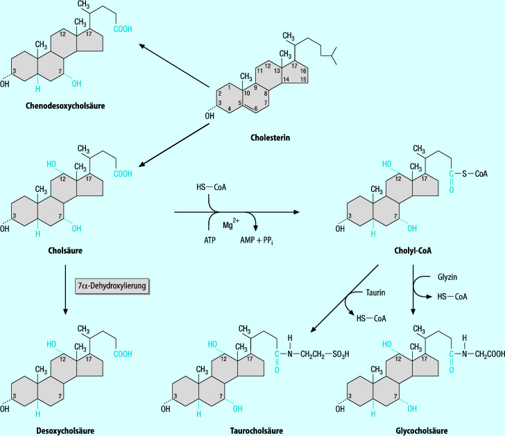 graphic file with name 978-3-642-24710-1_13_Fig3_HTML.jpg