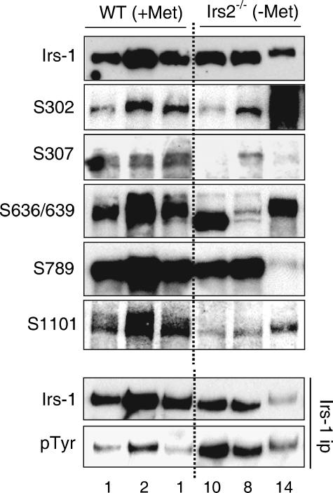 FIG. 8.