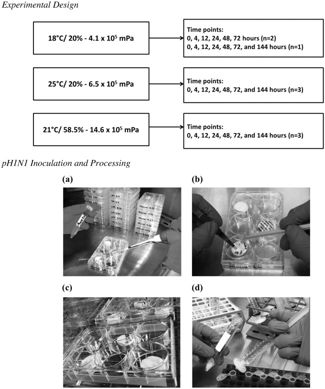 Fig 1