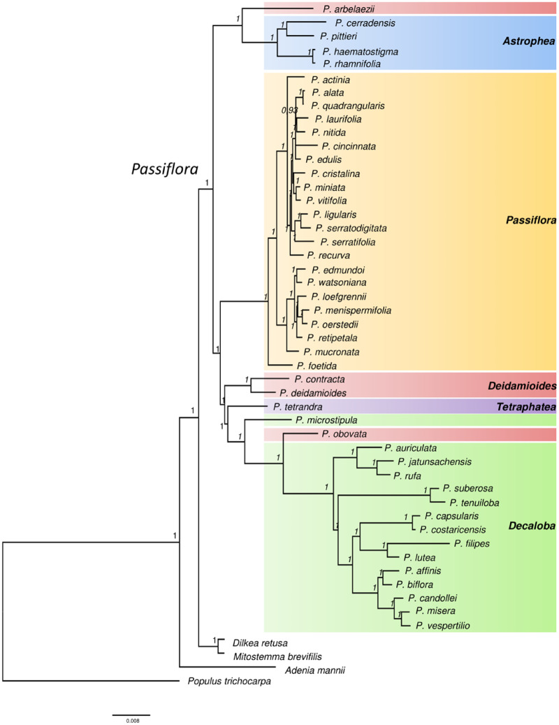 Fig. 4.