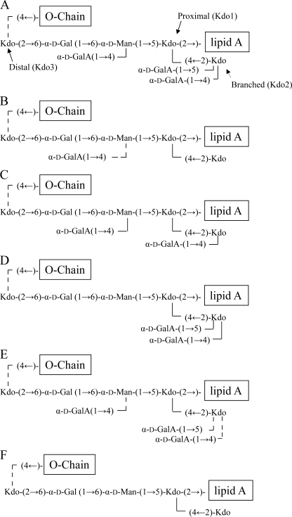 FIGURE 7.