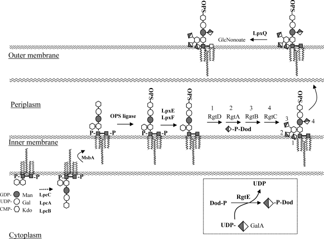 FIGURE 10.