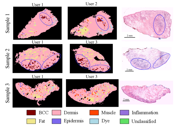 Fig. 9