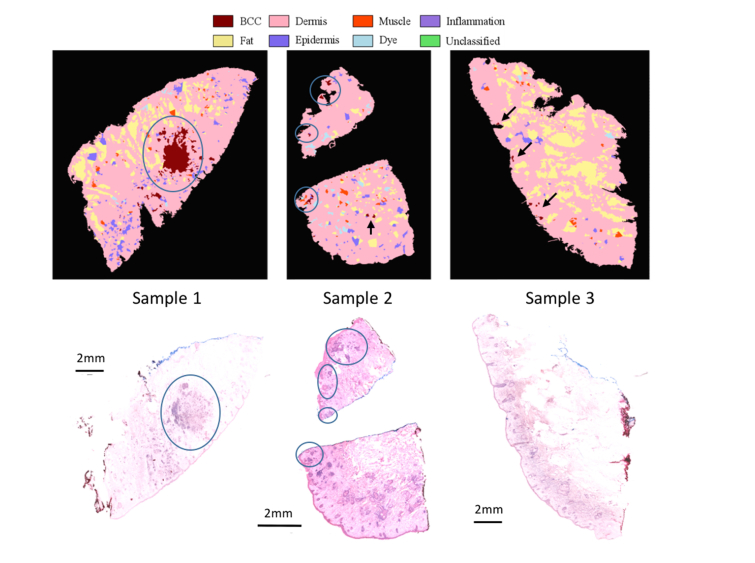 Fig. 7