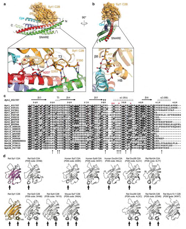 Extended Data Figure 2