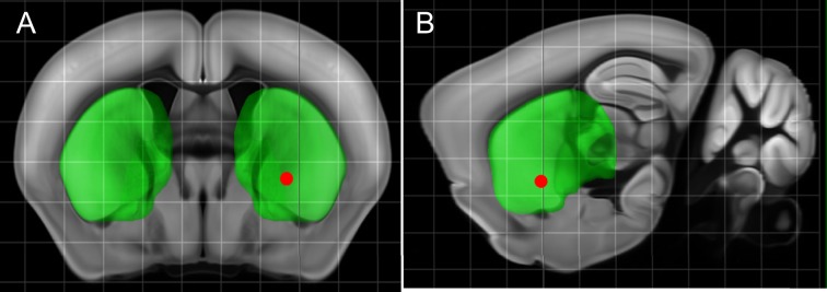 Figure 6—figure supplement 1.