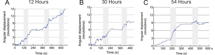 Figure 5—figure supplement 4.