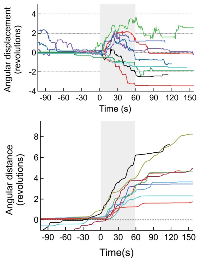 Figure 4—figure supplement 1.