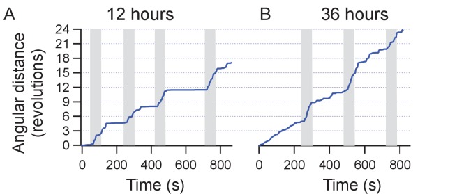 Figure 4—figure supplement 4.