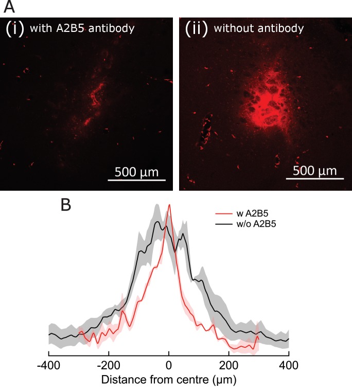 Figure 5—figure supplement 5.