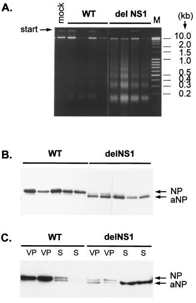 FIG. 5.