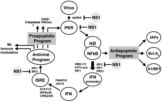 FIG. 6.