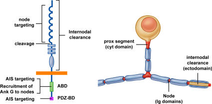 Figure 9.