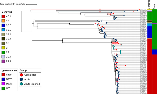 Fig 1