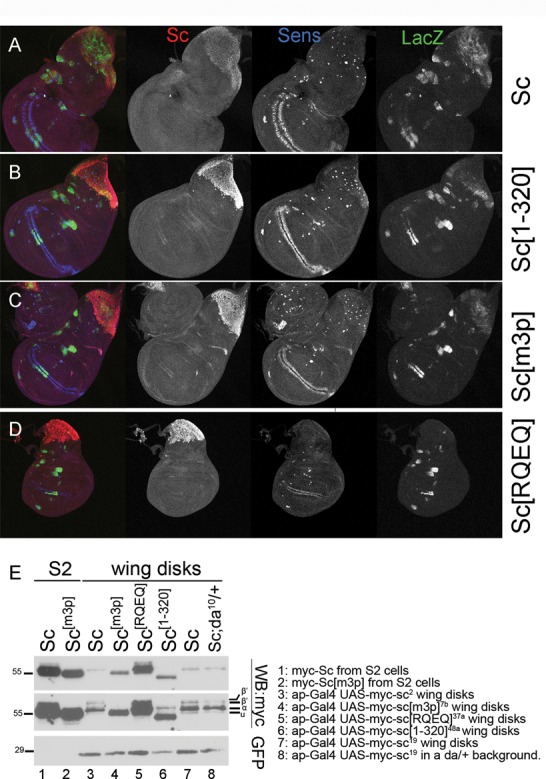 Figure 6.