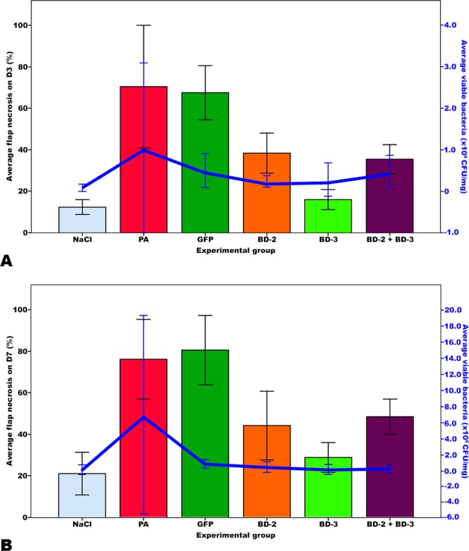 Figure 12