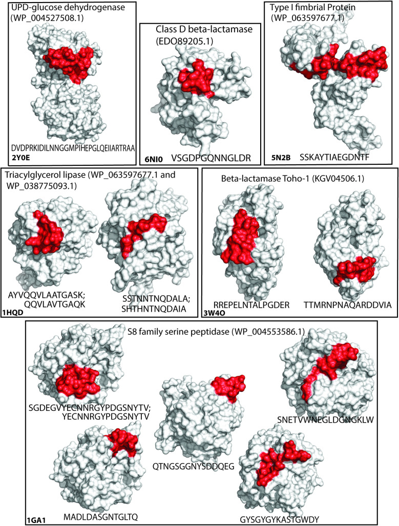 Fig 4