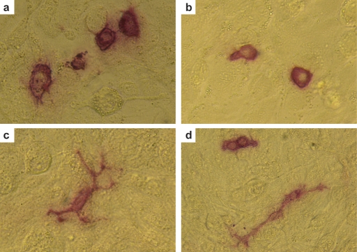 Figure 2: